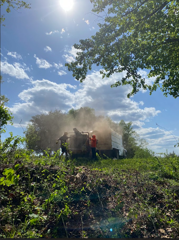 A group of people are standing in a field next to a truck.