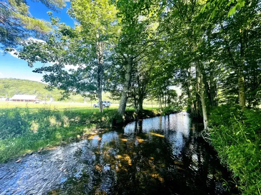 a person is paddling a kayak on a lake .