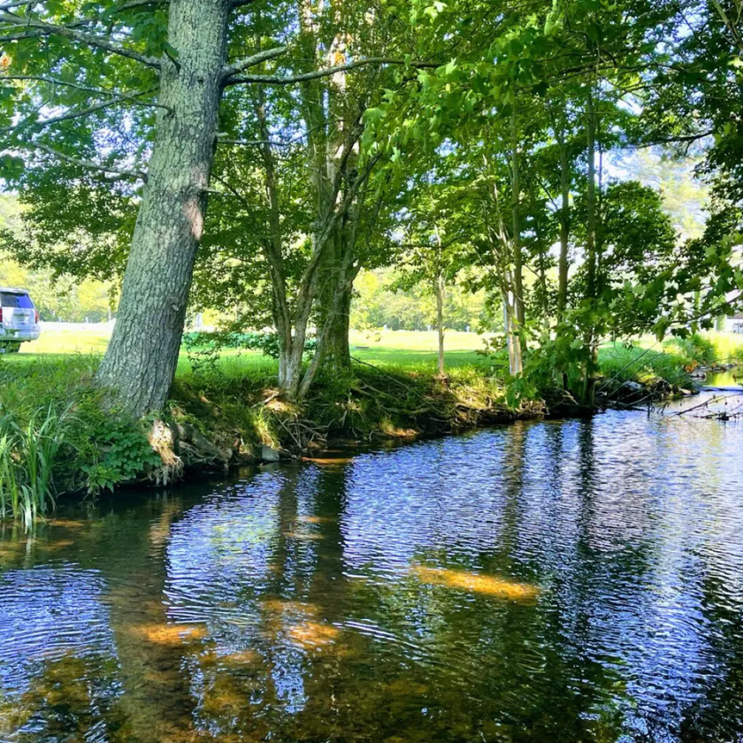 A river surrounded by trees and grass with a car parked on the shore.