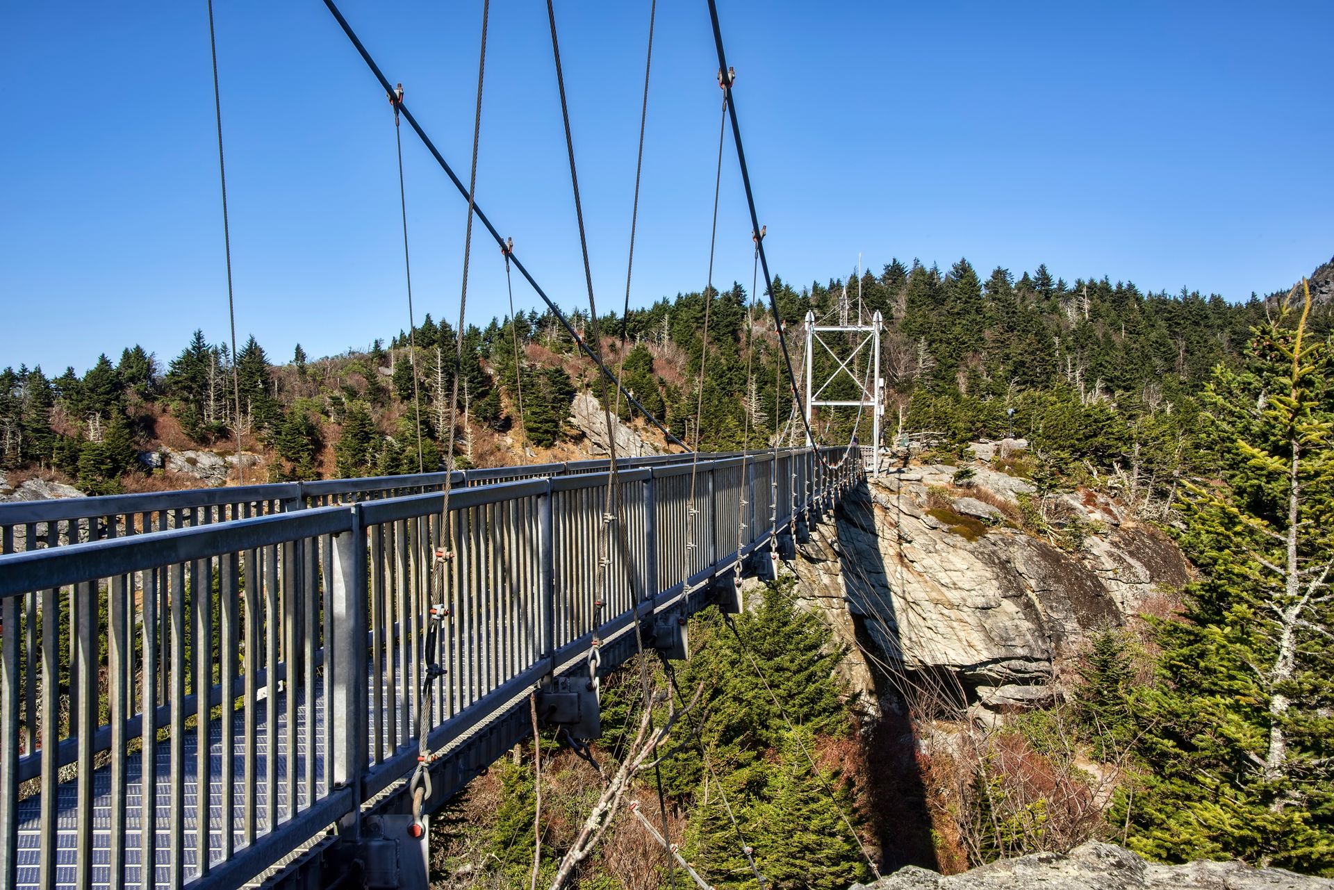 A suspension bridge over a canyon surrounded by trees.