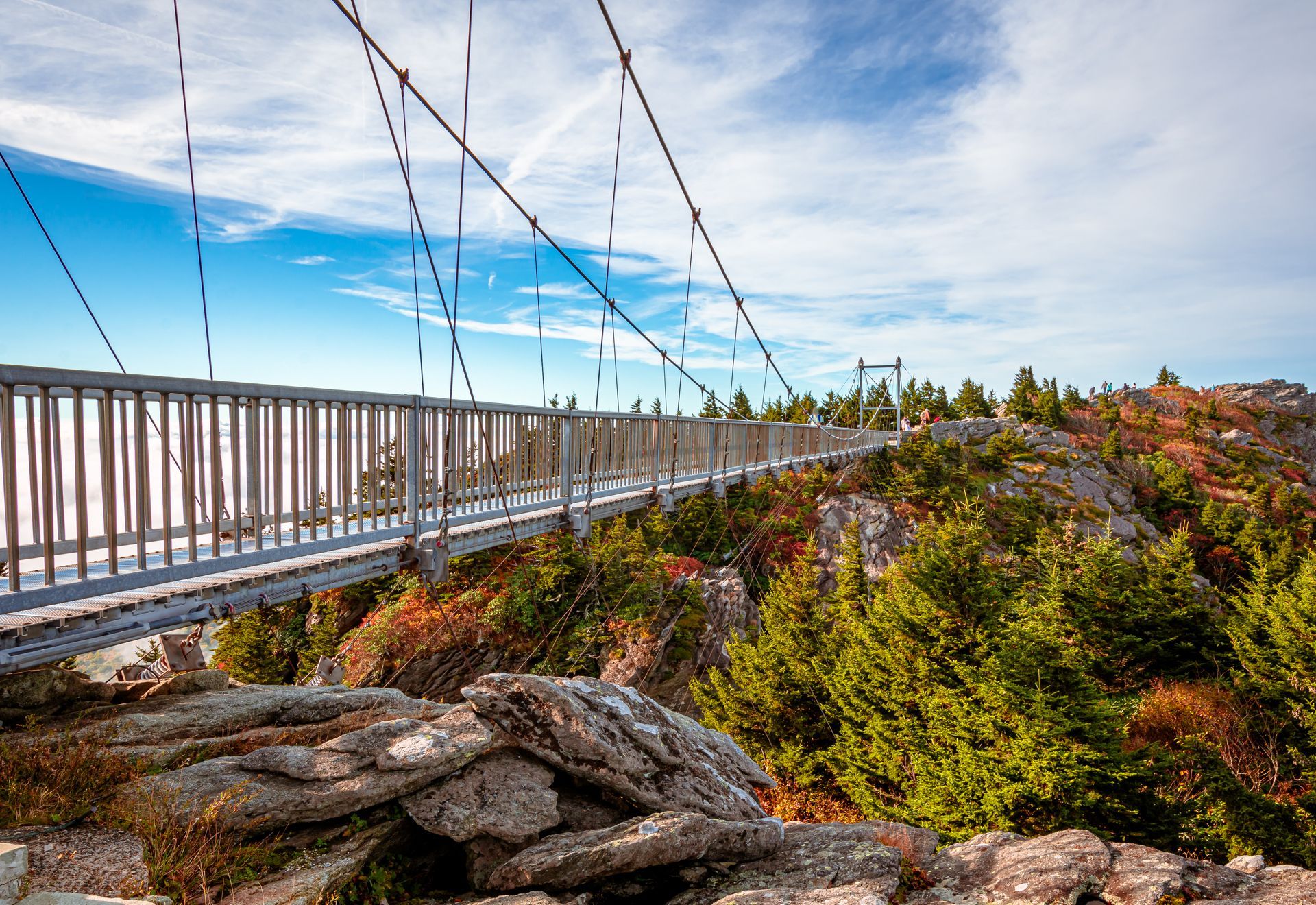 A suspension bridge over a cliff surrounded by trees and rocks.