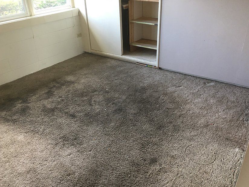 Dusty Carpet — Dirty Grey Carpet in Coos Bay, OR