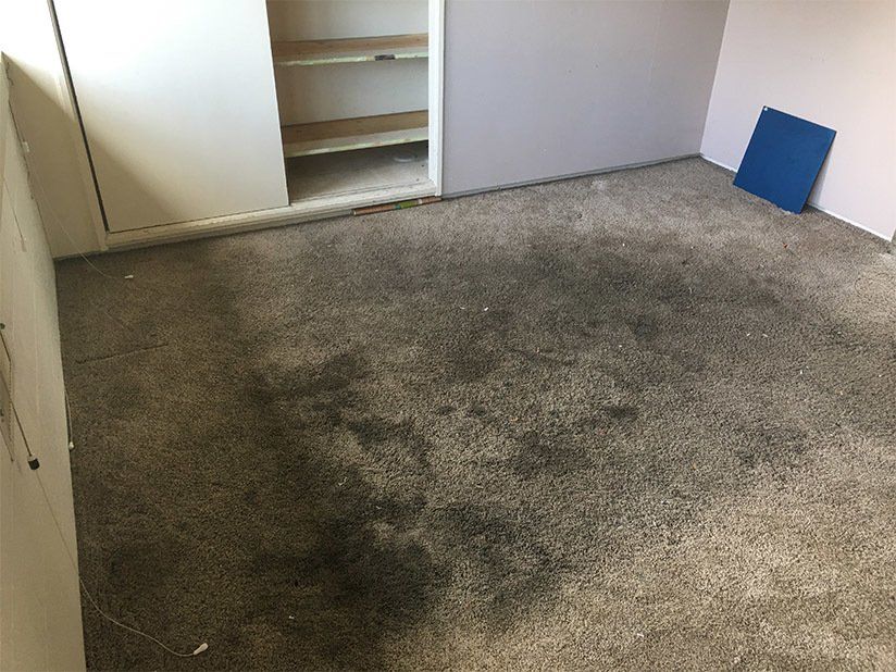 Room Dirty Carpet — Room Carpet in Coos Bay, OR