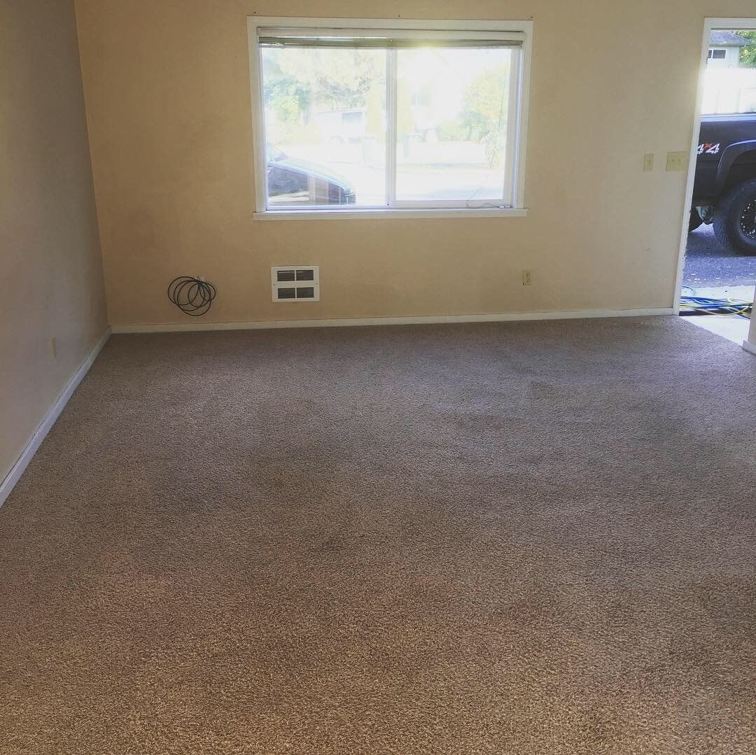 Marinucci�s Carpet Cleaning &amp; Janitorial David Marinucci