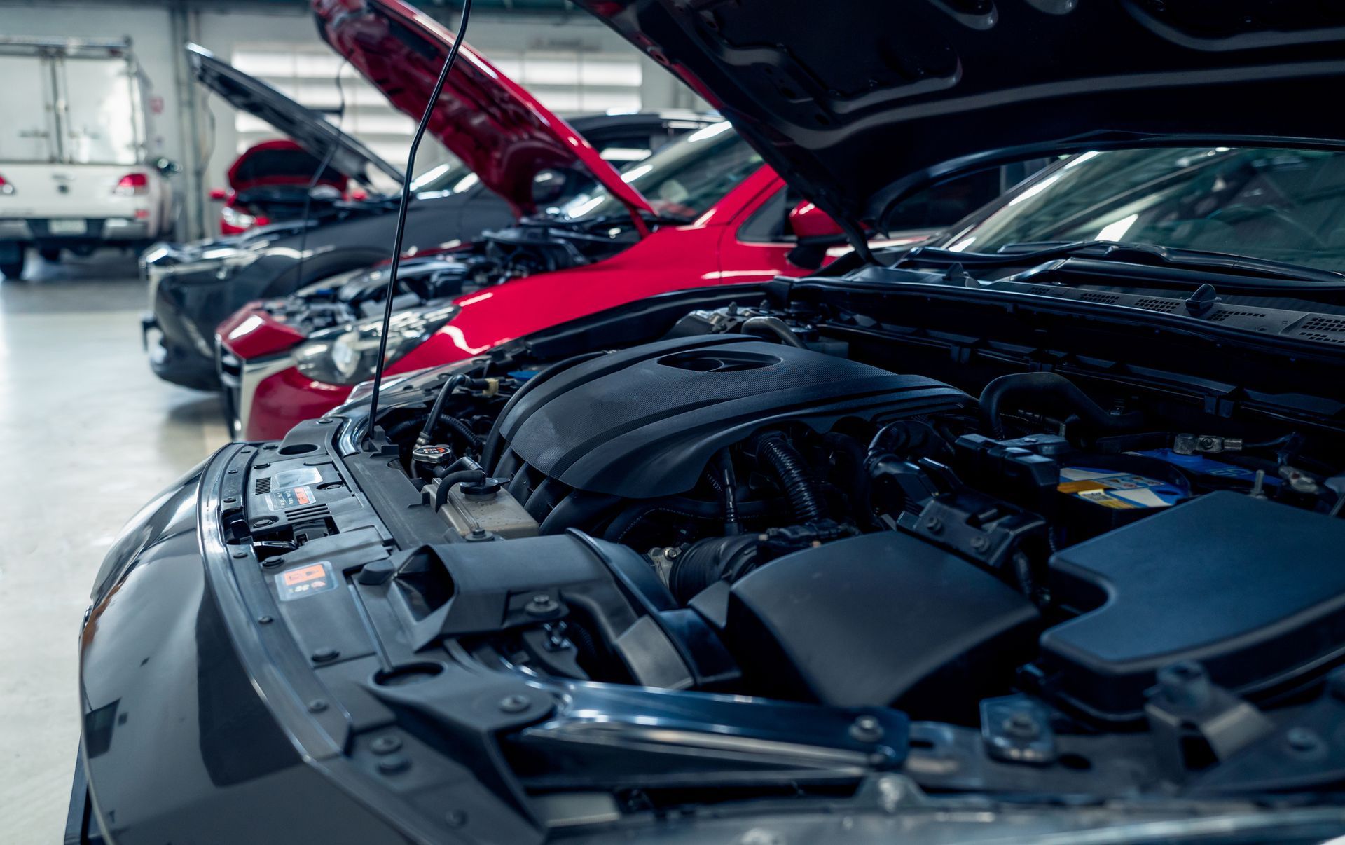 Cars in a row with hoods open in a repair shop. Red and black cars visible.