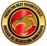 Logo The Best Security