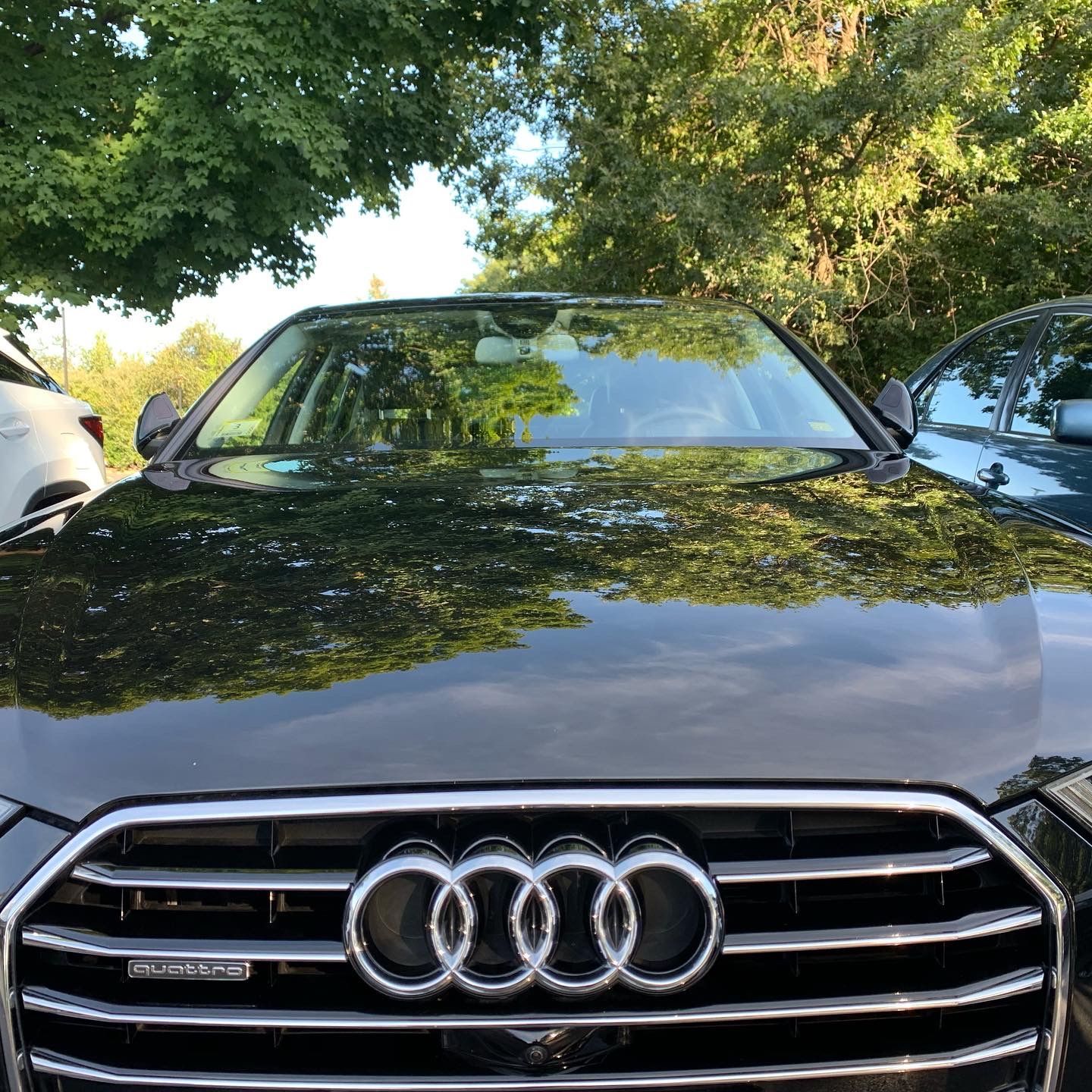 A black audi is parked in a parking lot with trees in the background.