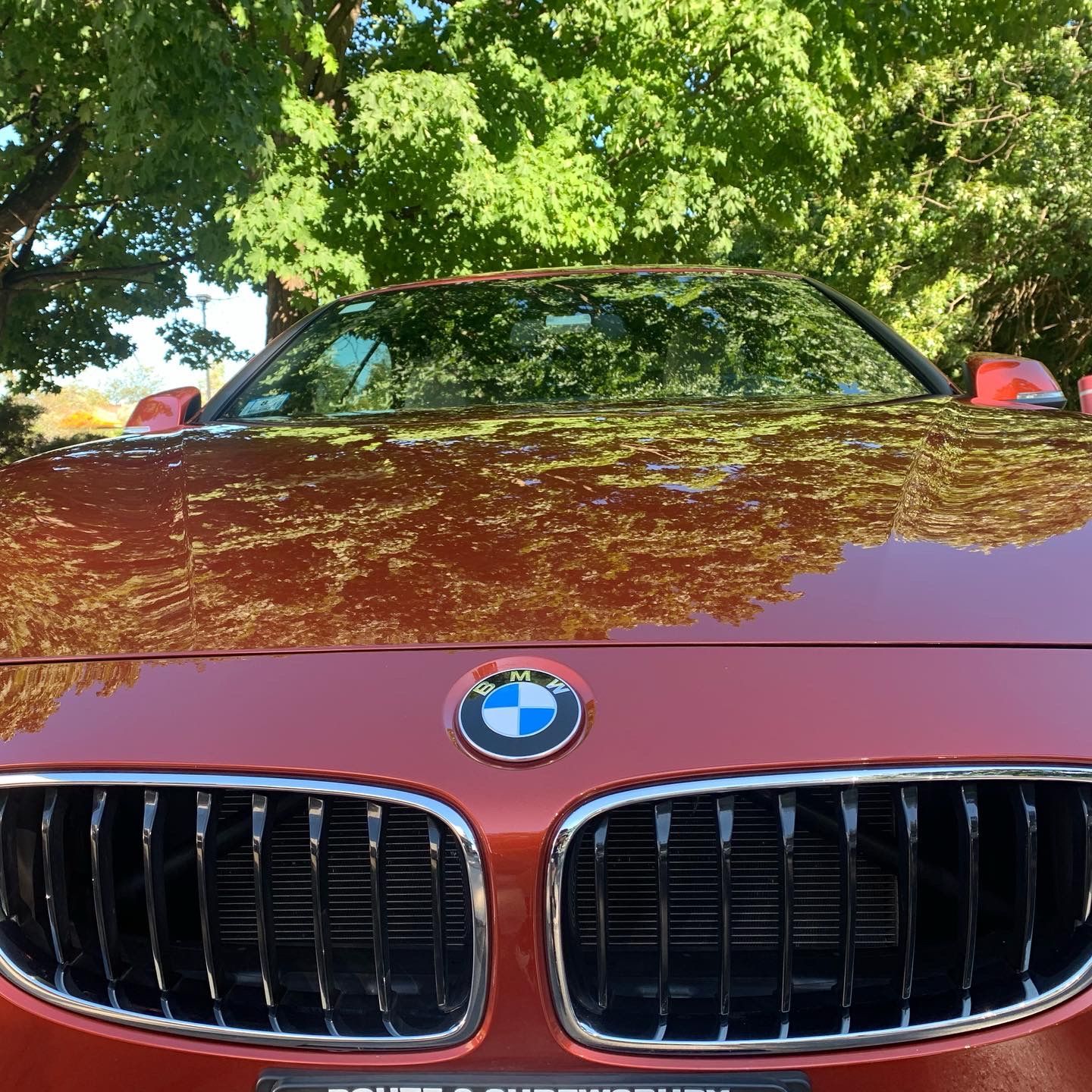 A red bmw is parked in a parking lot with trees in the background.