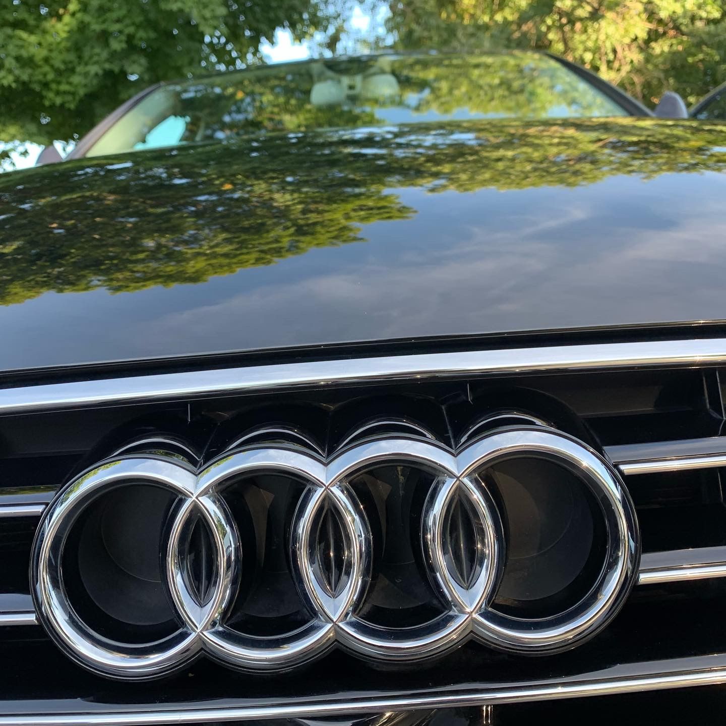 A close up of an audi logo on the front of a black car
