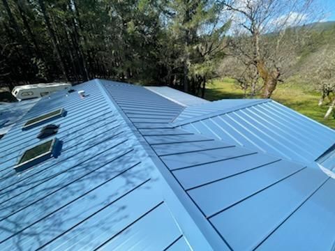 A blue roof with skylights on it is surrounded by trees.