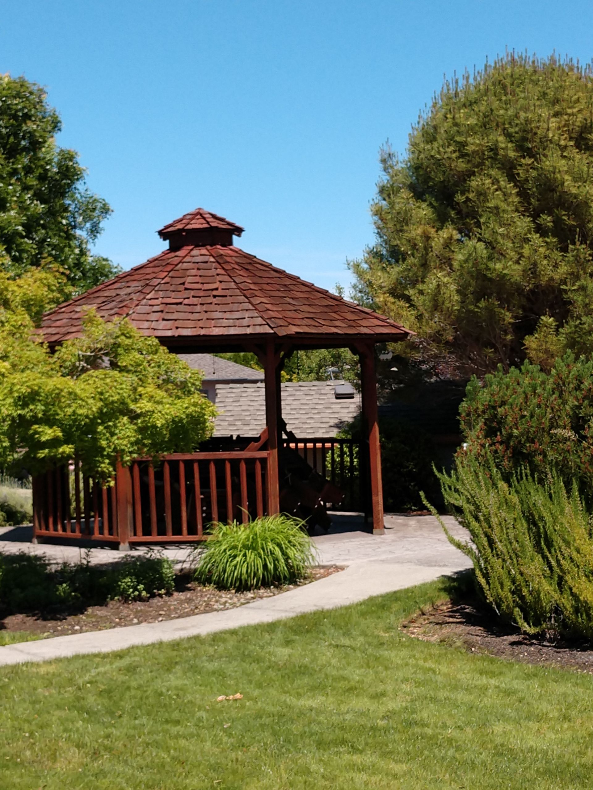 A wooden gazebo in a park with trees in the background