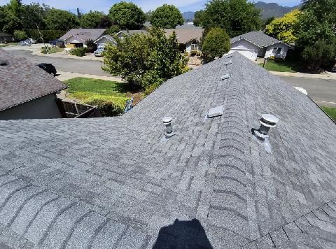 High-angle view of a gray shingled roof with several plumbing vents on a sunny day in a residential neighborhood.