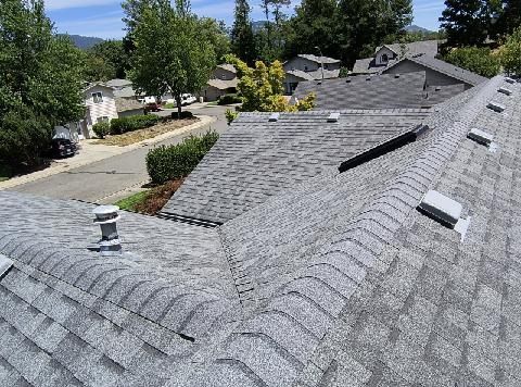 A high-angle view of a gray asphalt shingle roof with vents and a chimney, overlooking a residential suburban street.
