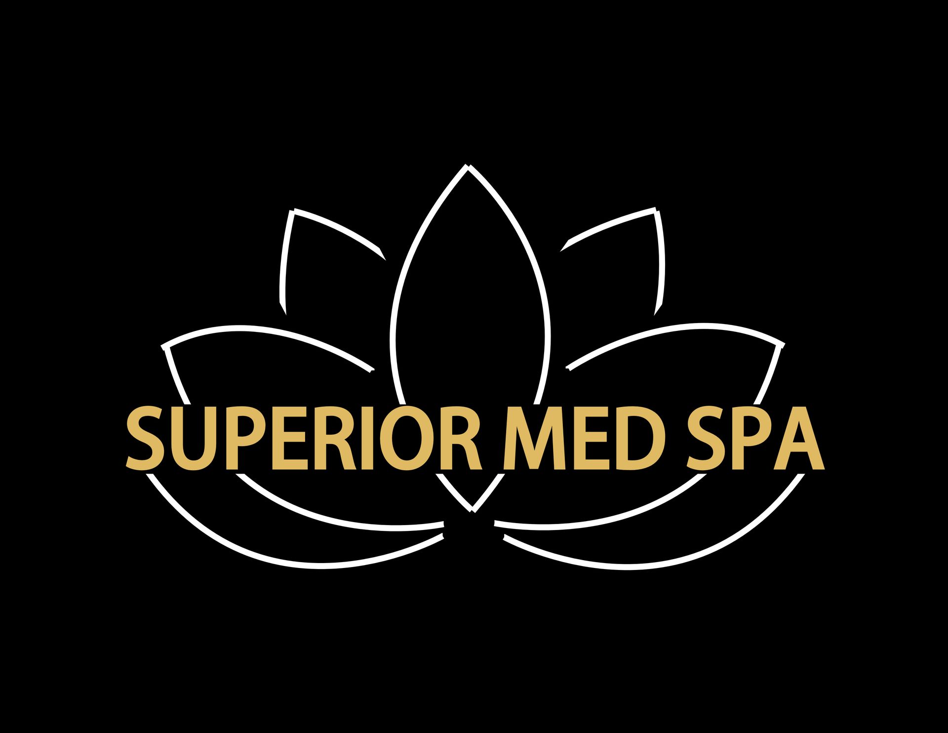 Five women in business attire pose together in a studio.