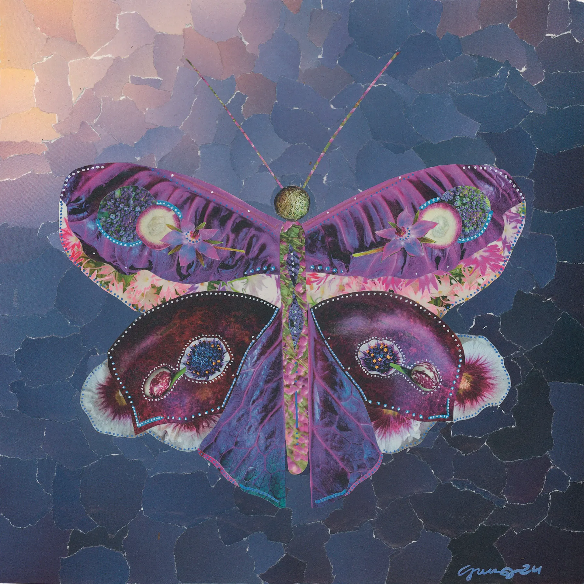 Purple butterfly with floral details on a dark blue, textured background.