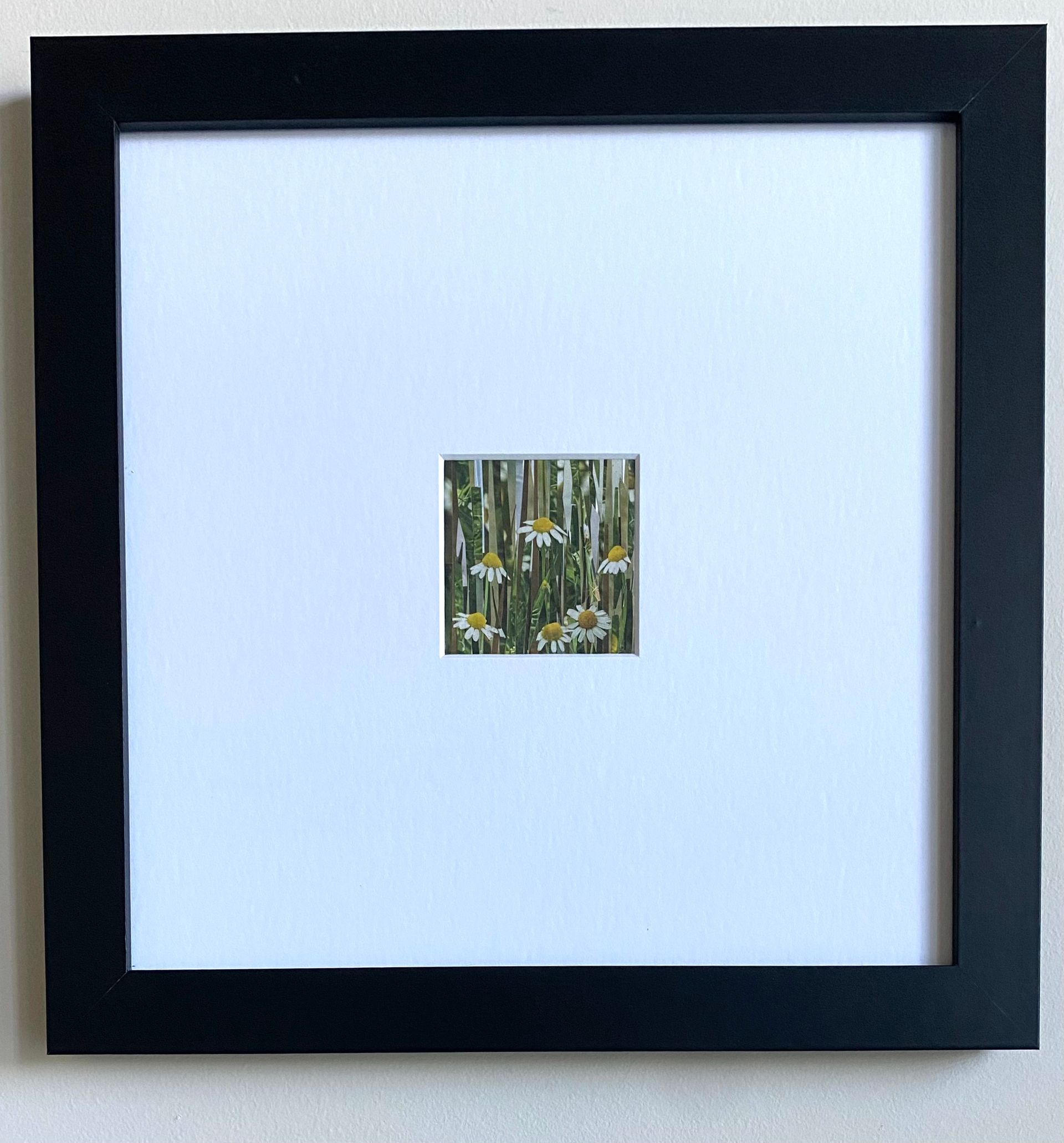 White daisy flowers with yellow centers, green stems, and foliage. Collage style with vertical stripes.