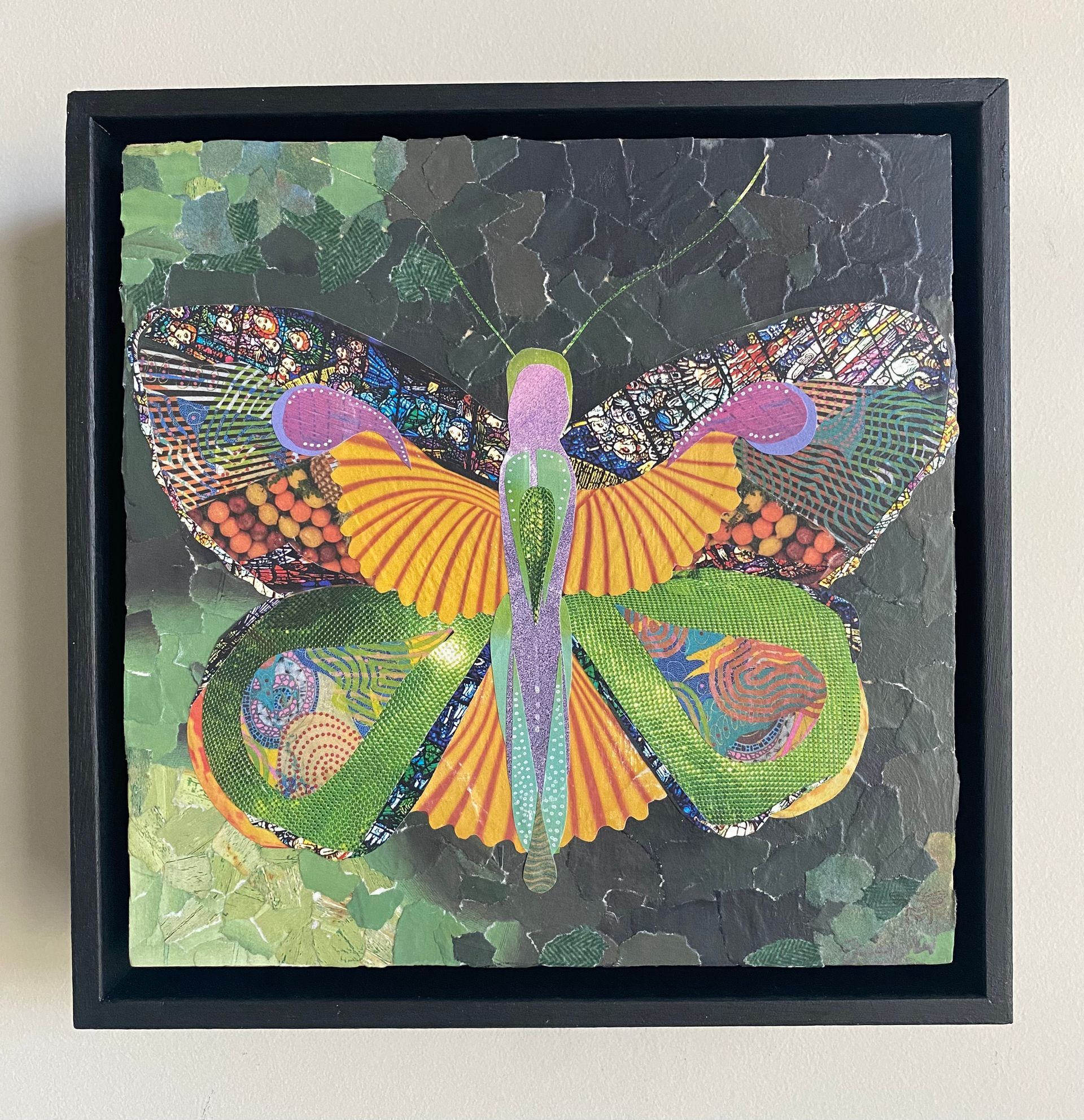 Collage of a colorful butterfly with detailed wings against a leafy green background.