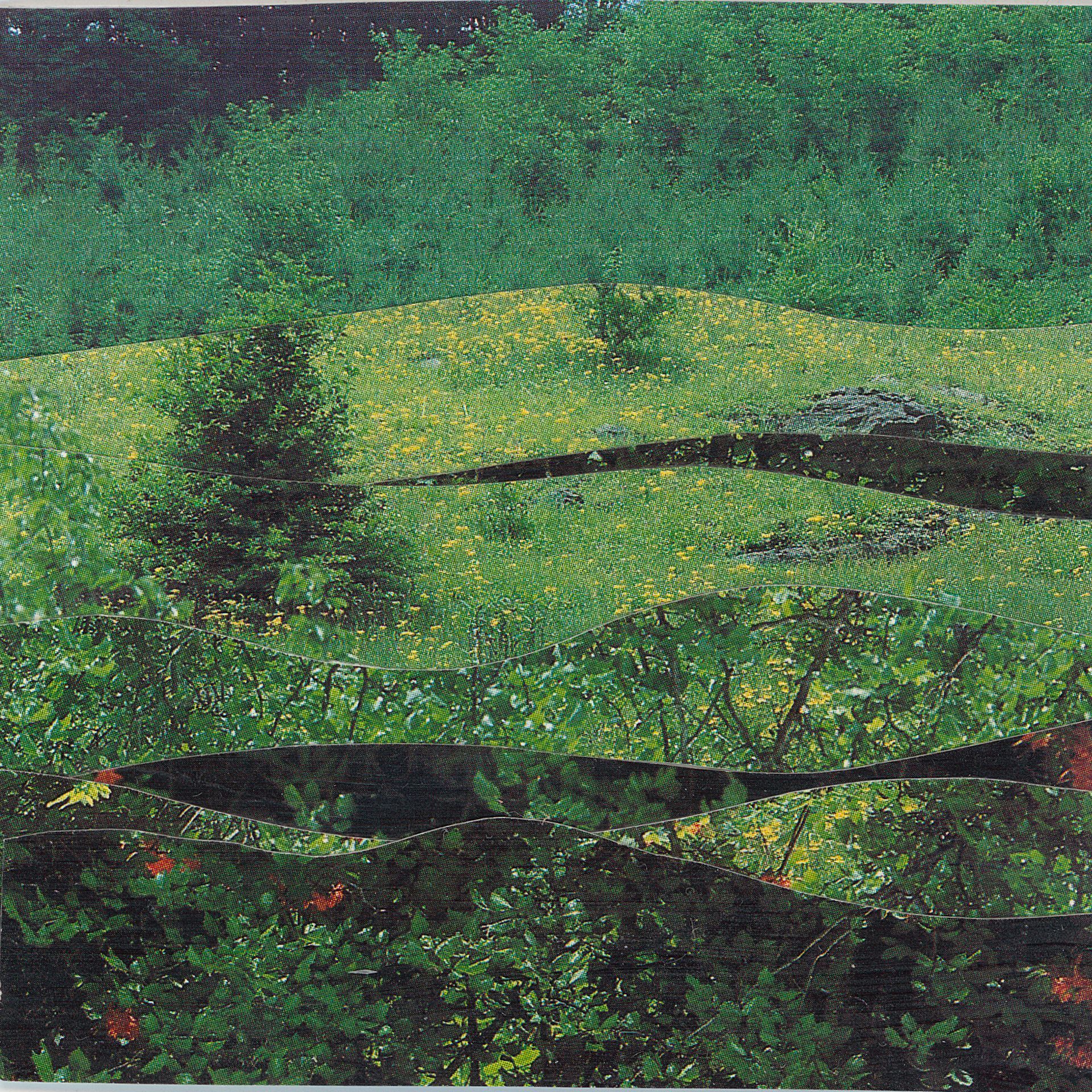 Green landscape with layered, grassy hills and dense foliage.