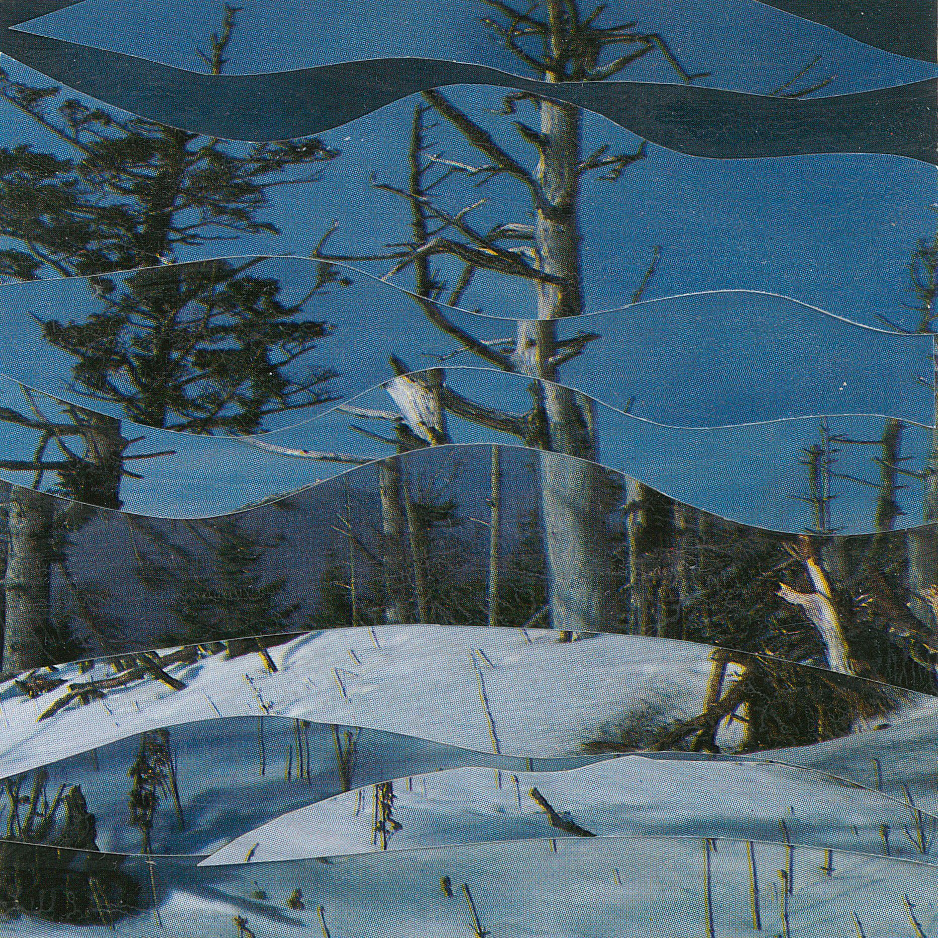 Winter landscape with snow, trees, and a bird perched on a branch under a blue sky.