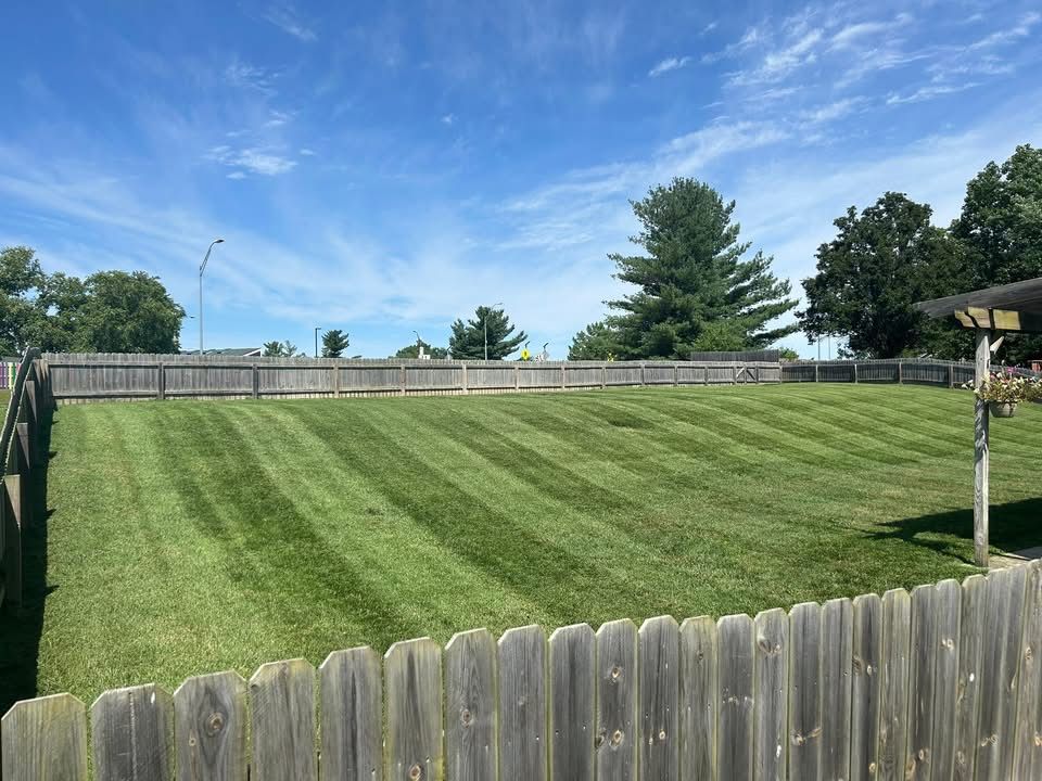 A freshly mowed green lawn with striped patterns, framed by a wooden fence under a bright blue sky.