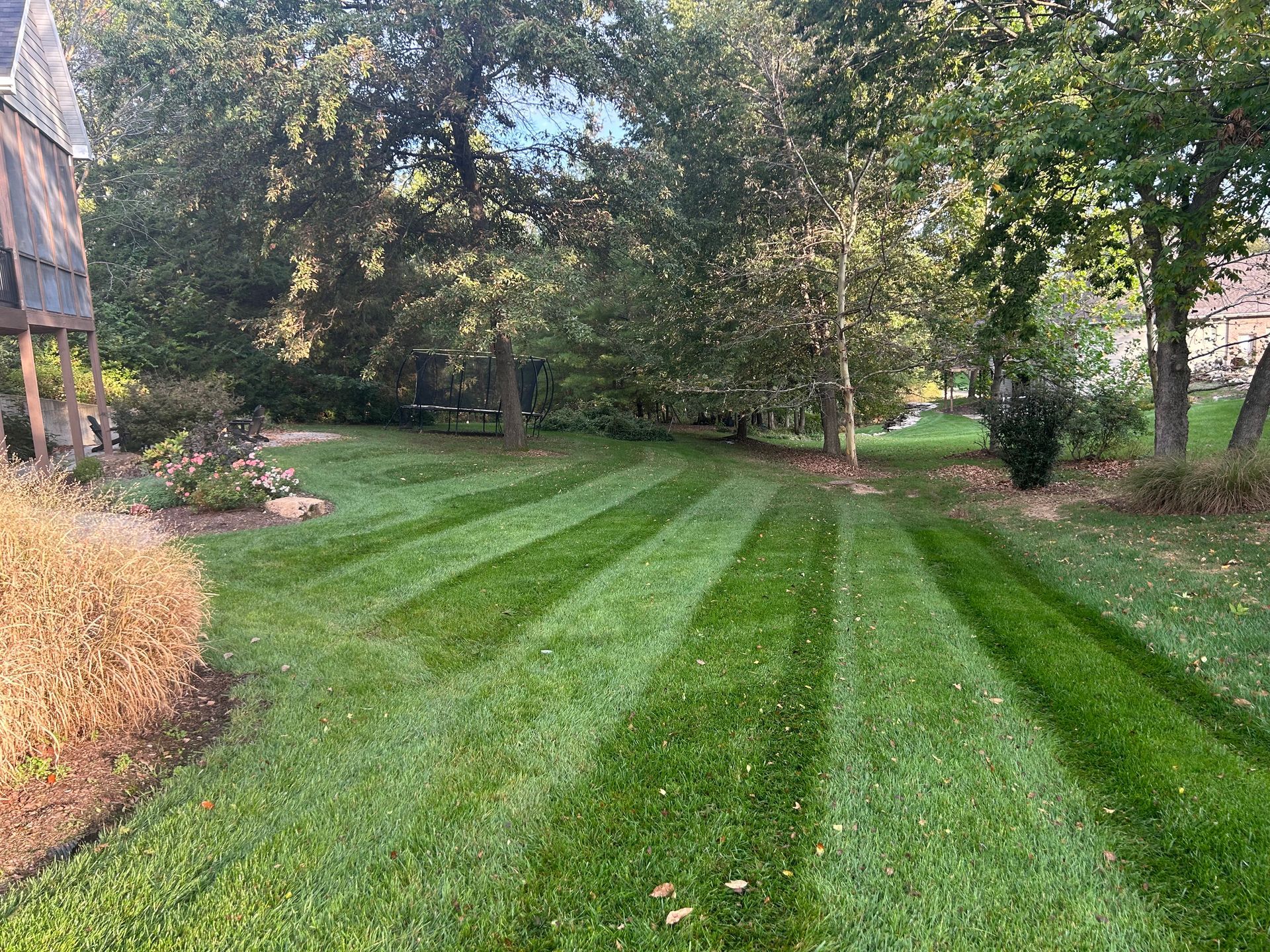 Lawn with striped pattern, cut grass in green and uncut grass in a lighter green. Trees and a house in background.