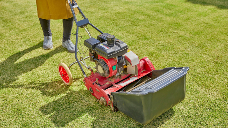 Lawnmower on green grass, cutting a path. Black and red mower, sunny day.