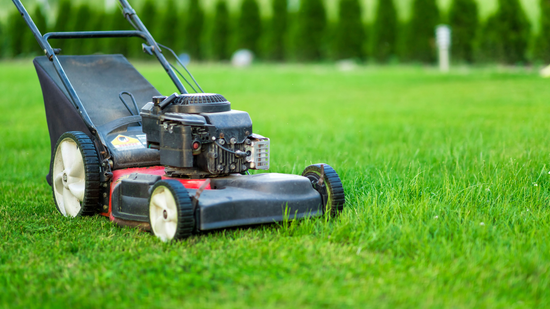 Lawnmower on green grass, cutting a path. Black and red mower, sunny day.