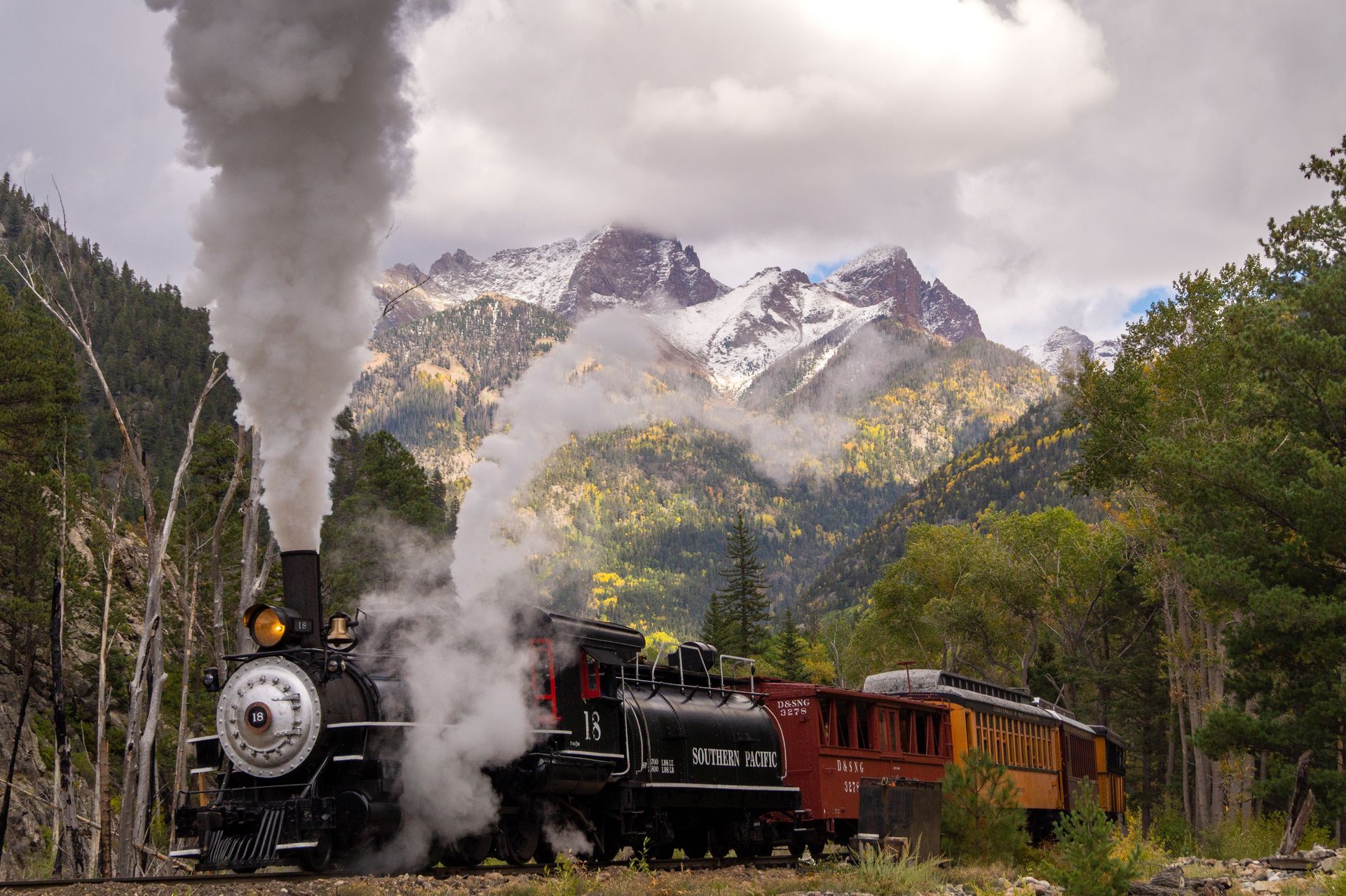 A train is going through a forest with mountains in the background.