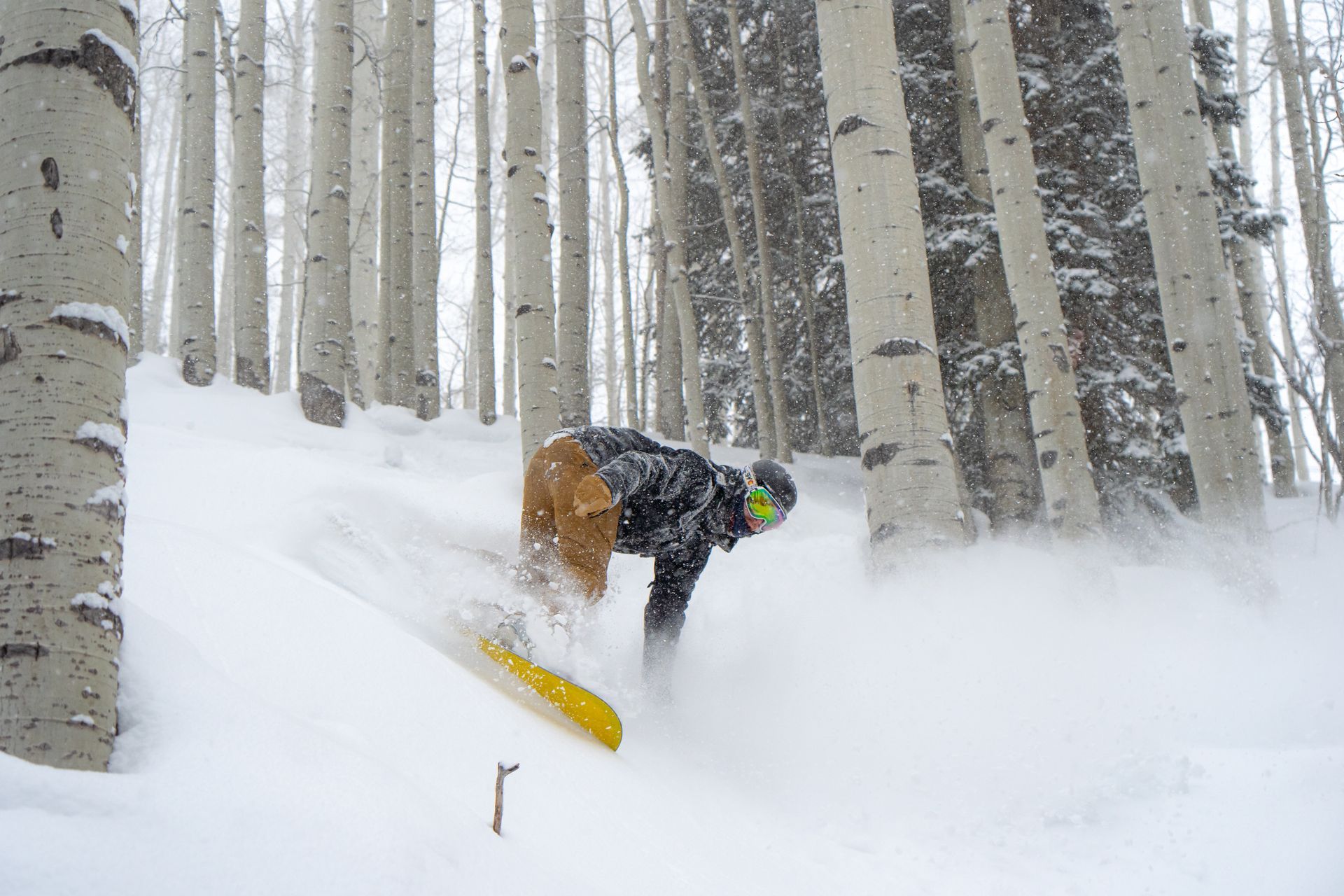 A person is snowboarding through a snowy forest.