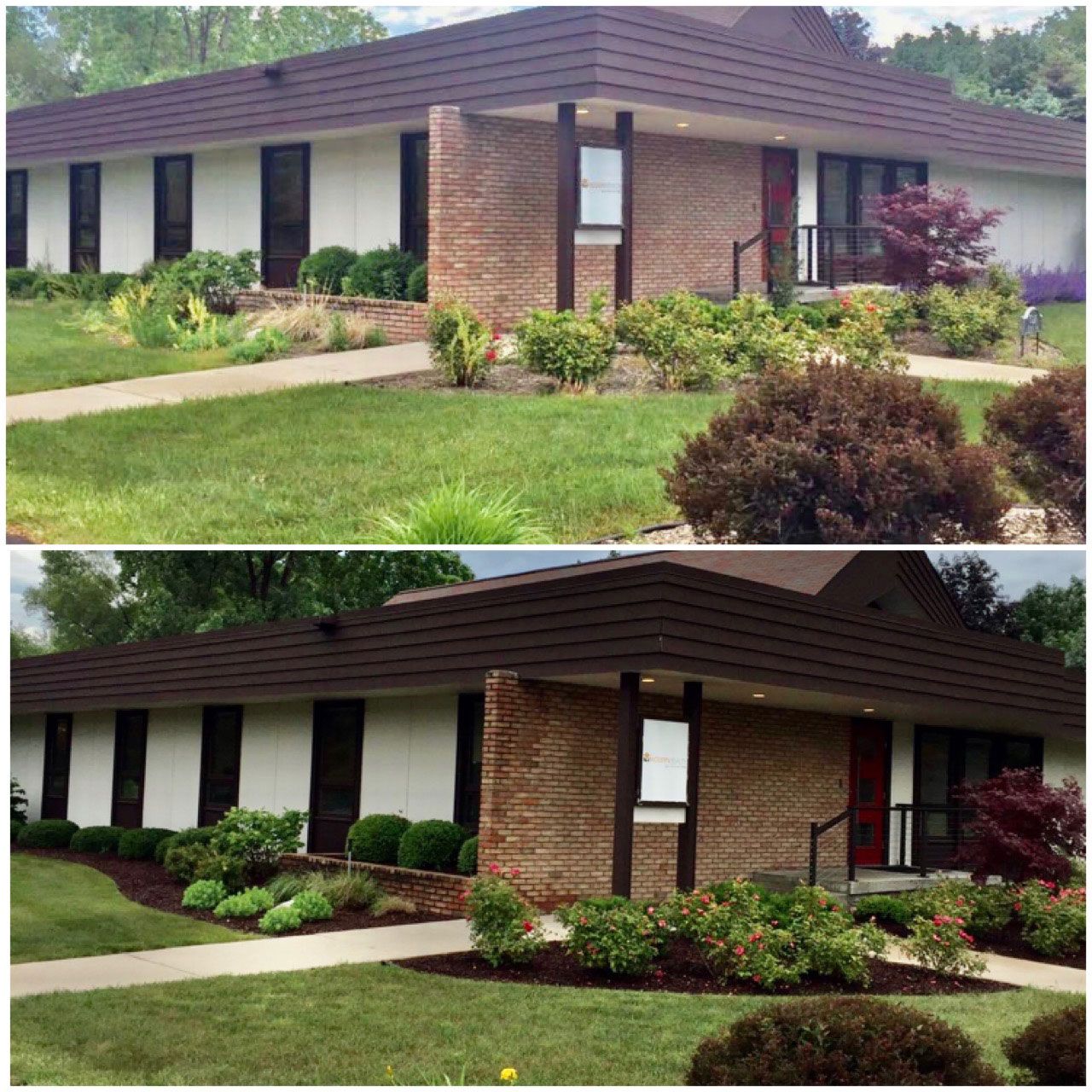 Cleanup and Trimming