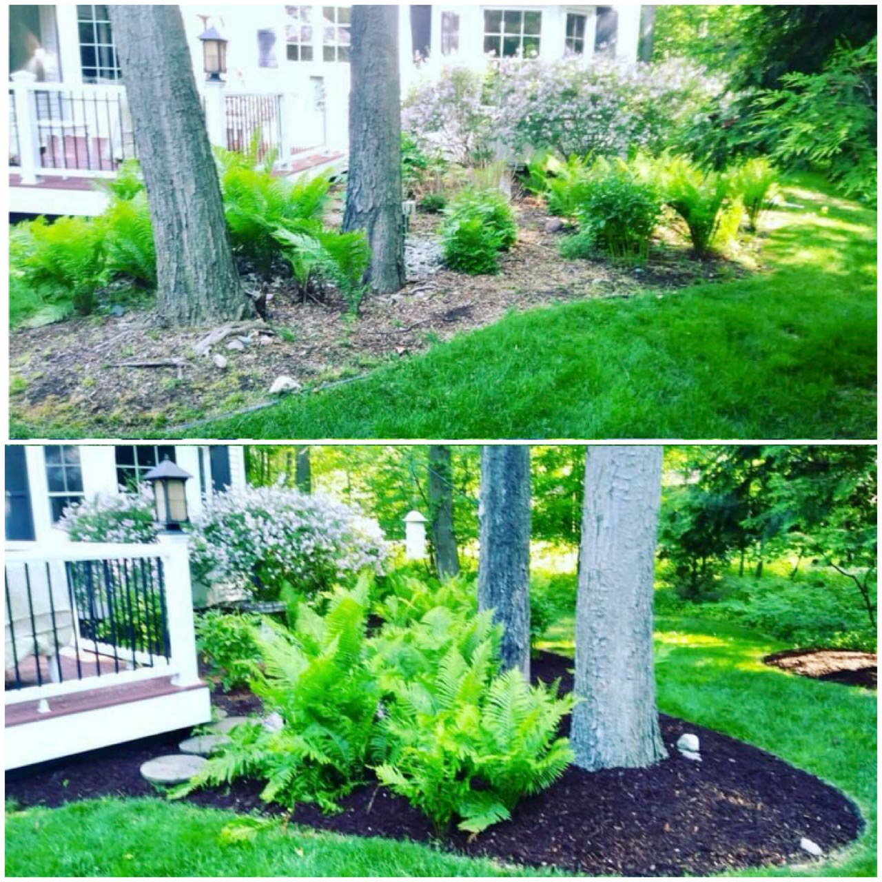 Cleanup and Trimming