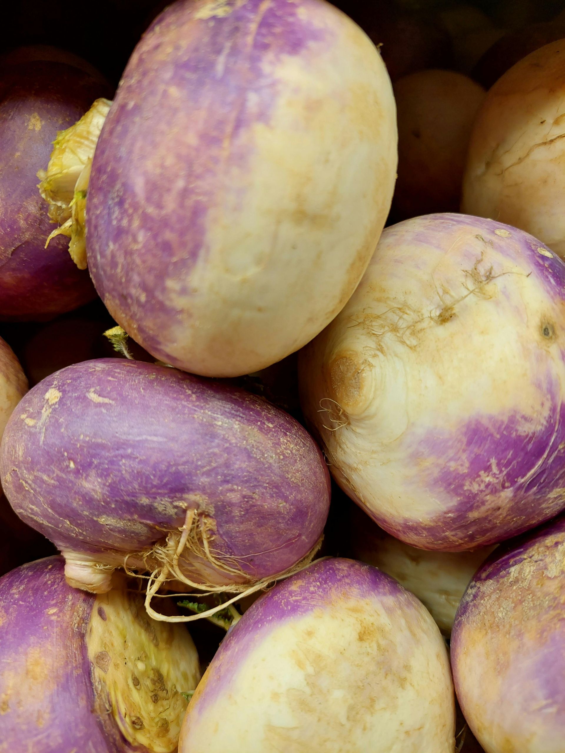 Rutabaga (Yellow Turnip)