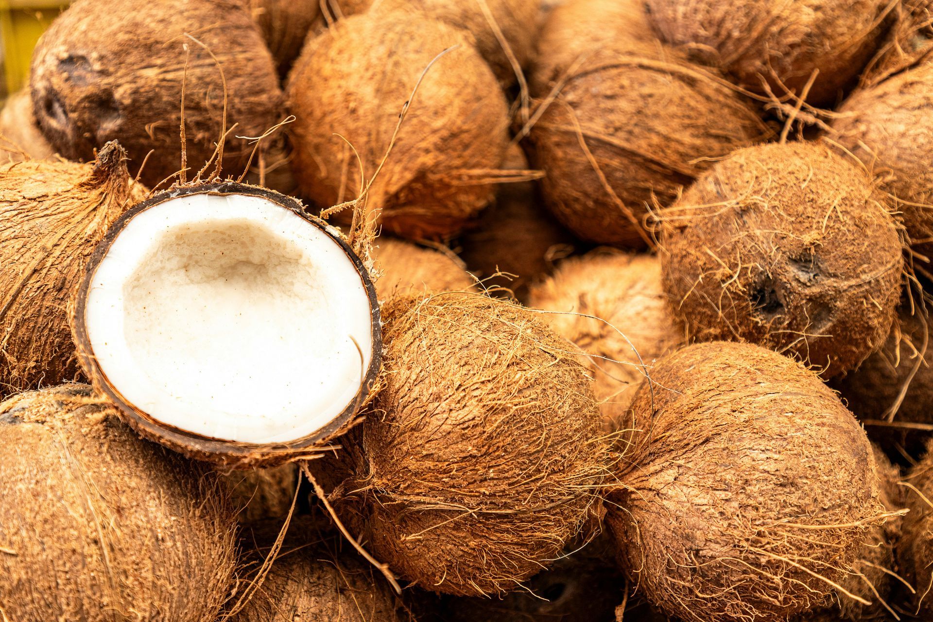 Coconut