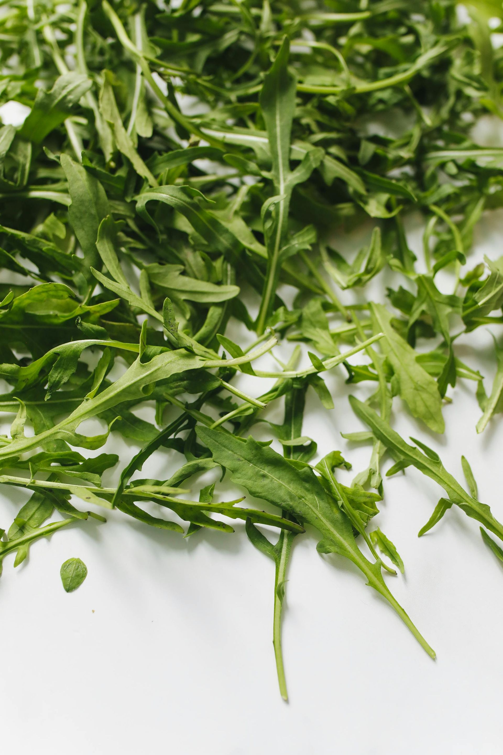 A pile of fresh green arugula leaves scattered across a plain white background.