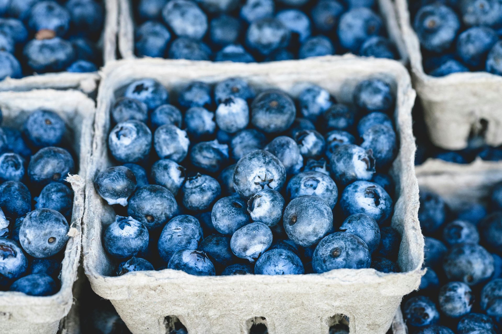 A top-down view of several cardboard containers filled with fresh, round, deep blue blueberries.