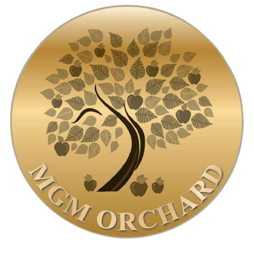 MGM Orchard