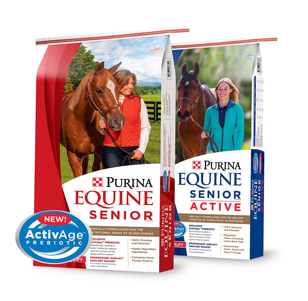 Equine — Newark, IL — Martin Avenue Shops