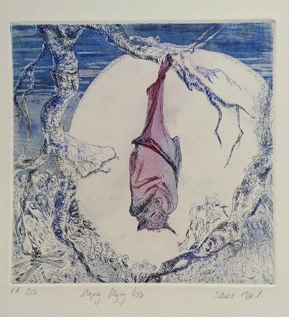 coronamaus flughund flying fox vliegende hond etching aquatinta radierung blue