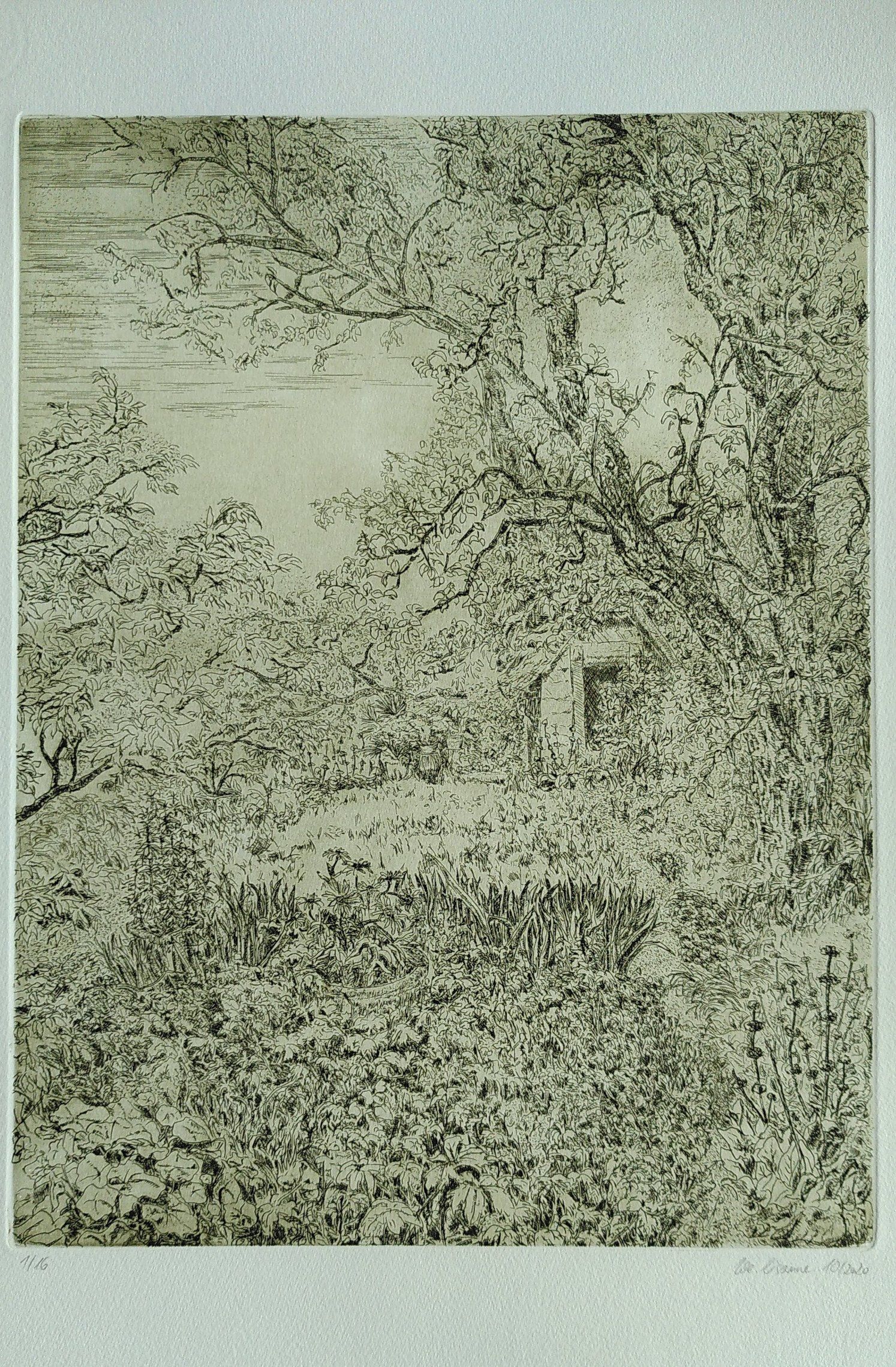 paradise garden tuin etching