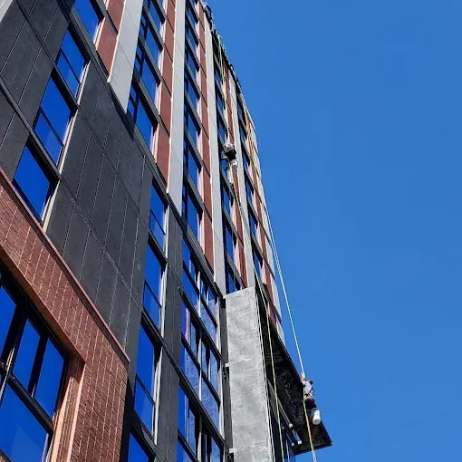 Person cleaning a glass window with blue gloves, squeegee, and scrub brush.