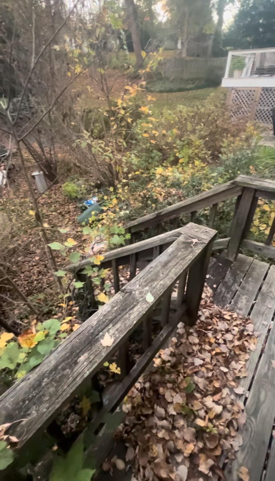 A weathered wooden deck railing overlooks a yard covered in autumn leaves, with trees and a shed in the background.