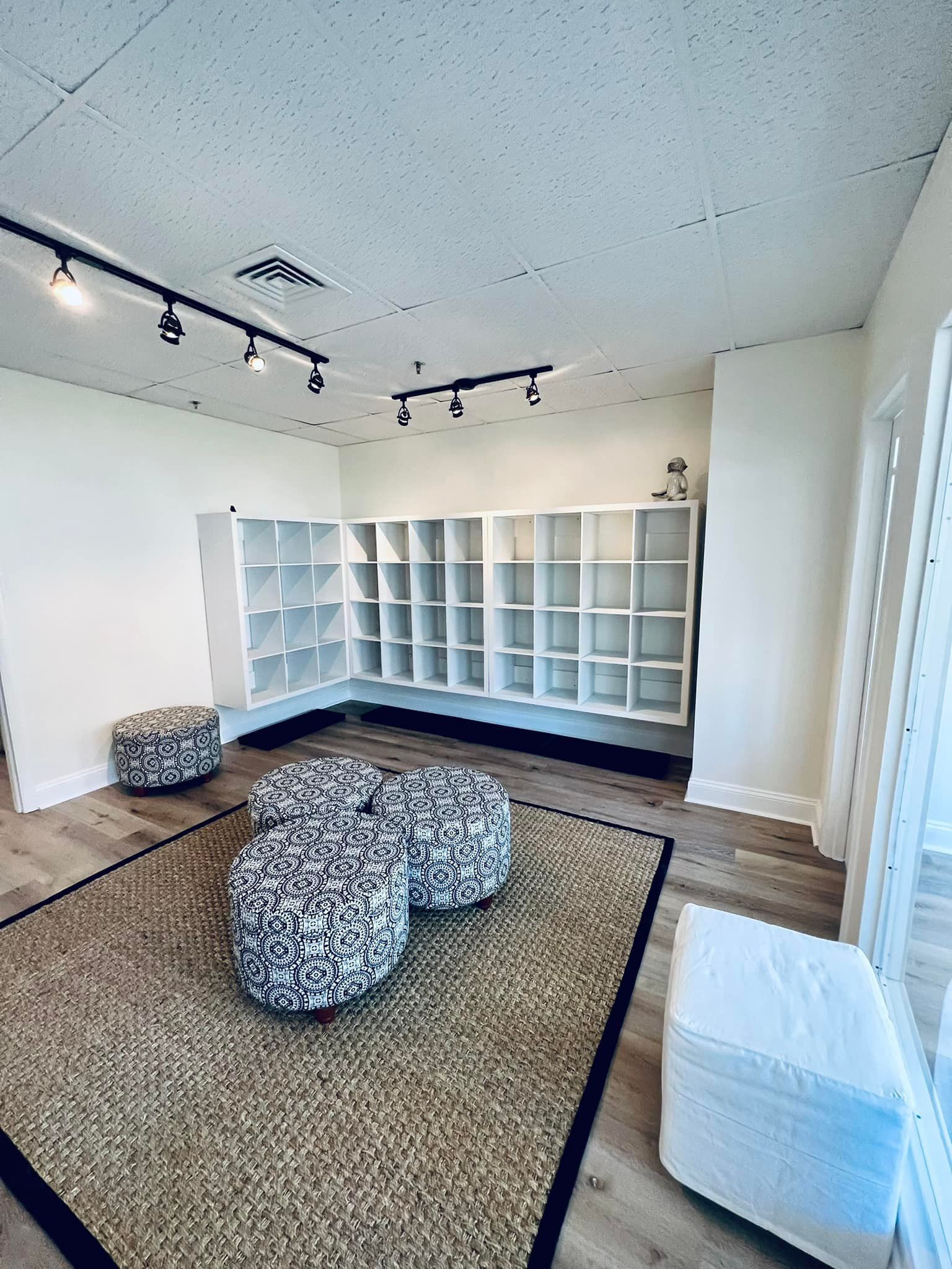 A modern room with white cubby shelves, a textured rug, and patterned beanbag chairs under track lighting.