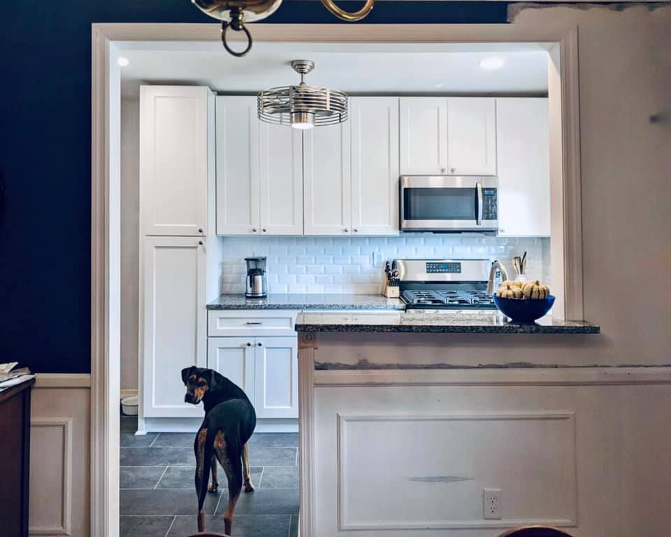 A white kitchen with a dark blue accent wall in the foreground and a dog standing on a gray tiled floor.
