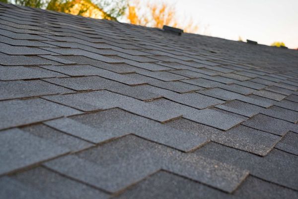 Asphalt Roofing Shingles — Newberry, FL — Whittles Roofing Co Inc