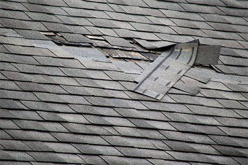 Damaged Shingle Roof