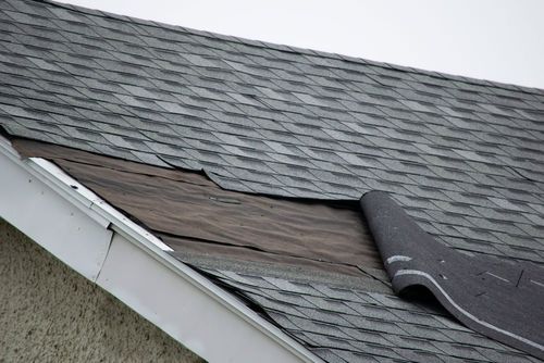 Damaged Roof Shingles — Newberry, FL — Whittle's Roofing Co Inc