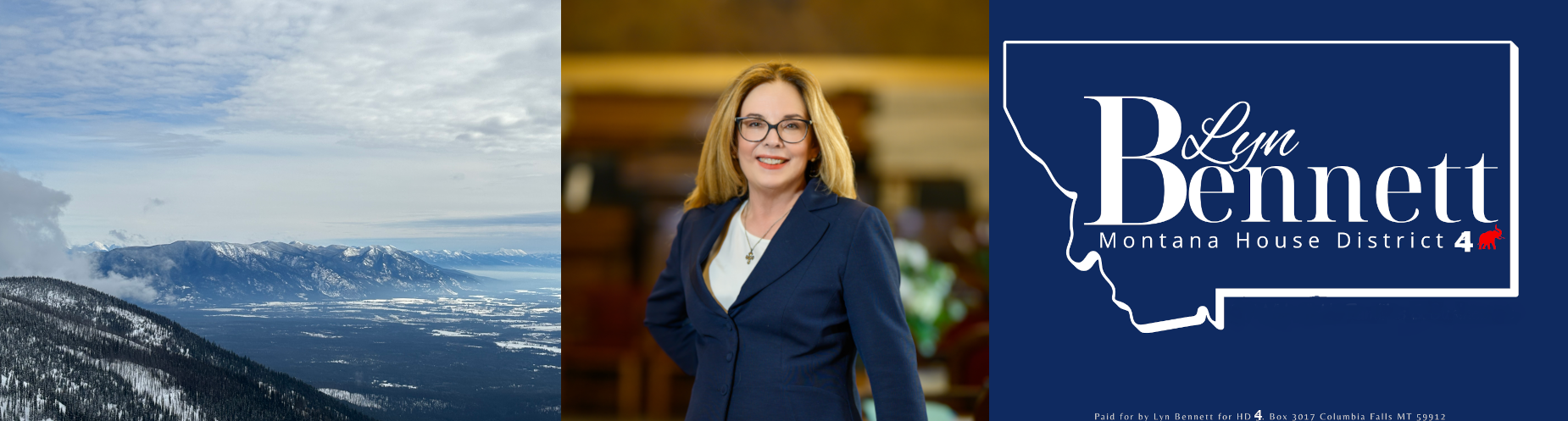 Lyn Bennett for HD4 Website Banner