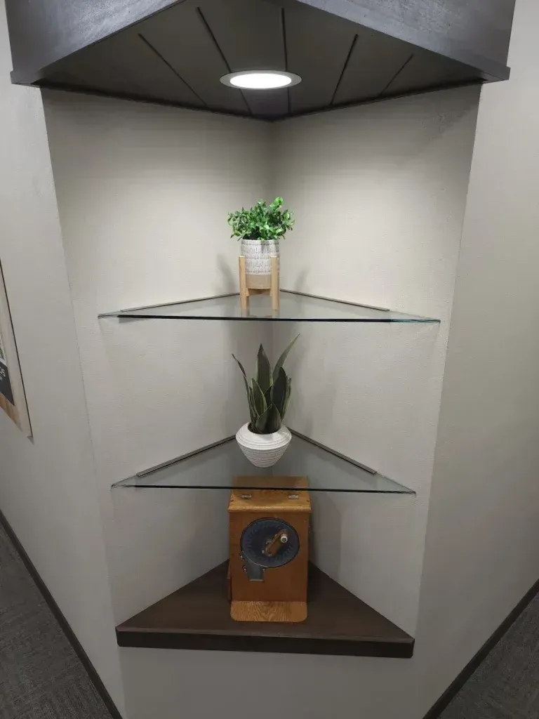 Built-in corner shelves with a plant, a decorative speaker, and a light.