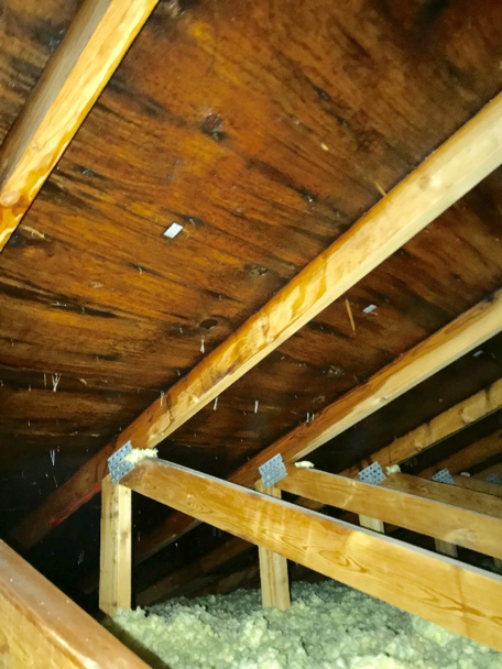 Mold inspection & testing Calgary