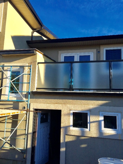Mold testing & removal contractor